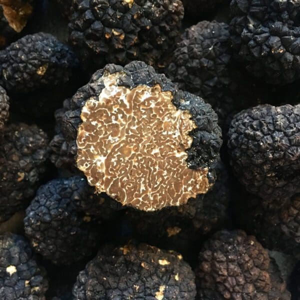 Black Autumn Truffles