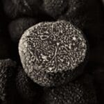 frozen black winter truffle