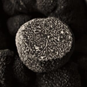 frozen black winter truffle
