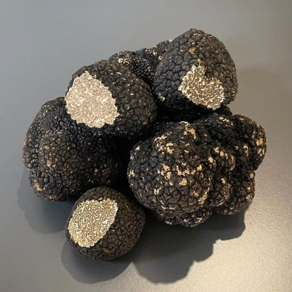 Black Autumn Truffle UK