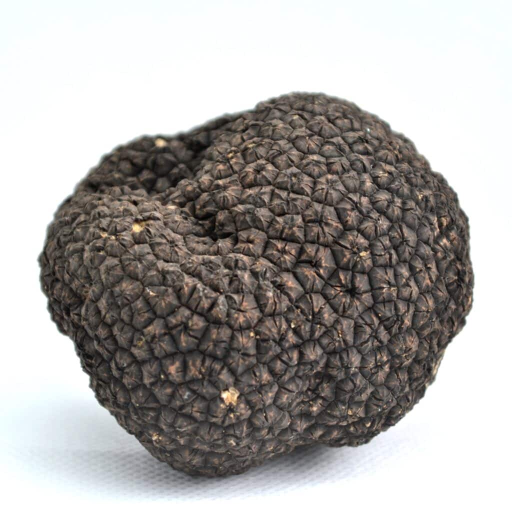Fresh Black Summer Truffles