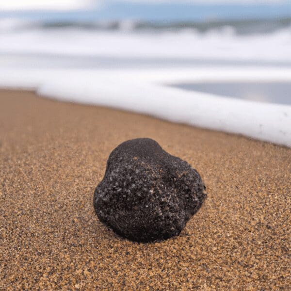 truffle sea salt