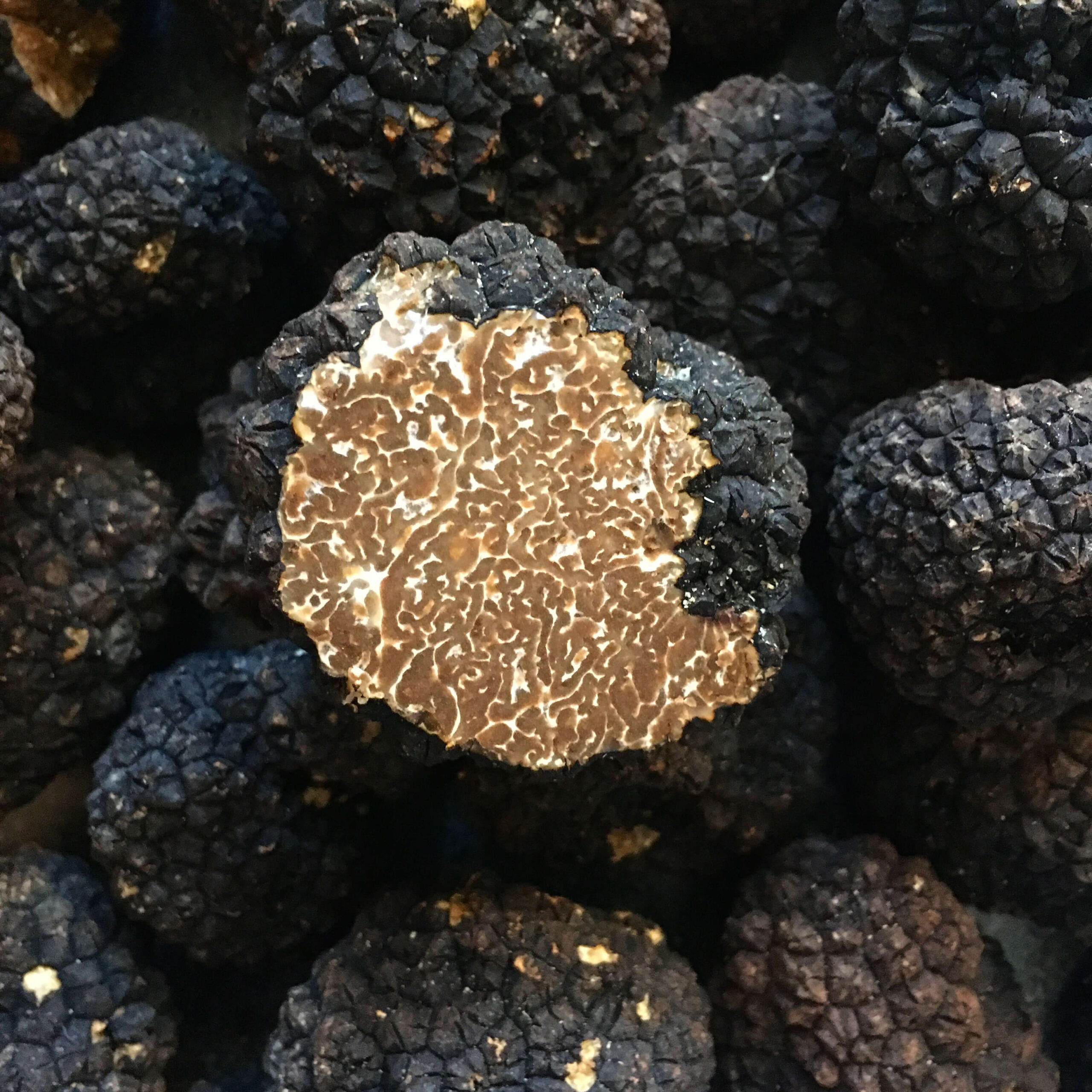 Fresh Black Autumn Truffles UK