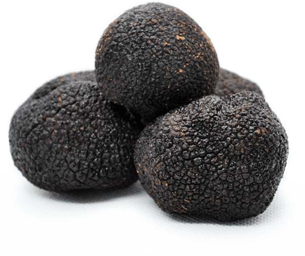 How to Care For Truffles - The English Truffle Company