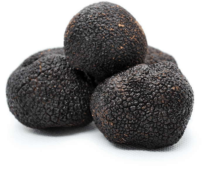 Extra fresh black truffles
