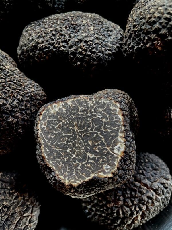 Buy Black Winter Truffles UK perigord