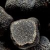 Buy Black Winter Truffles UK perigord