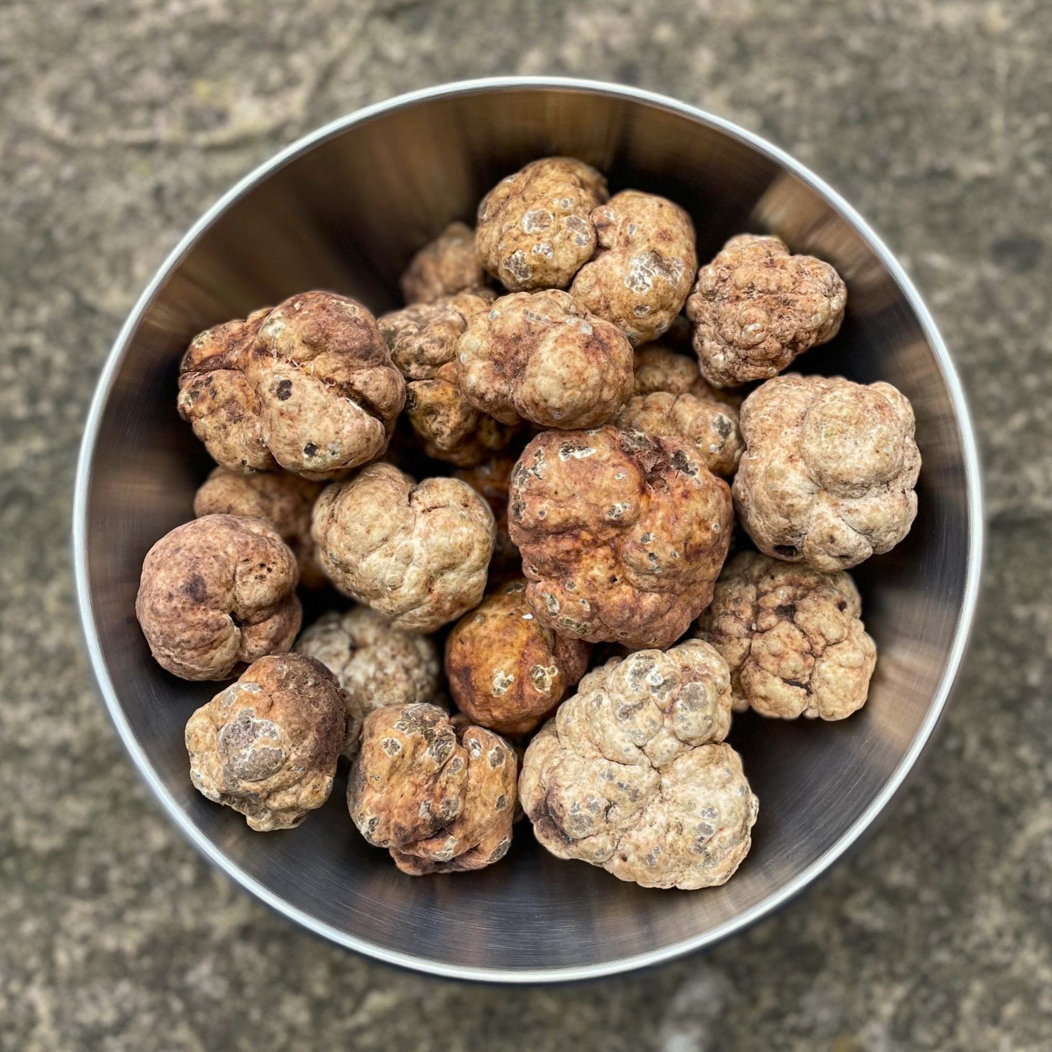 buy fresh spring truffles