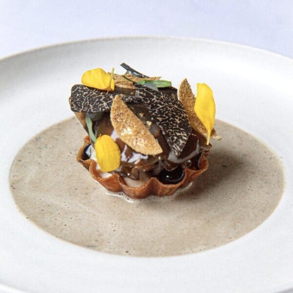 Black Winter Truffles Perigord