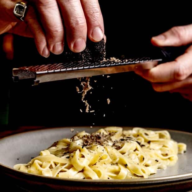 perigord black truffle