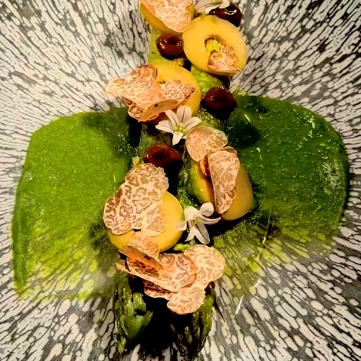 Buy Fresh White Spring Truffles
