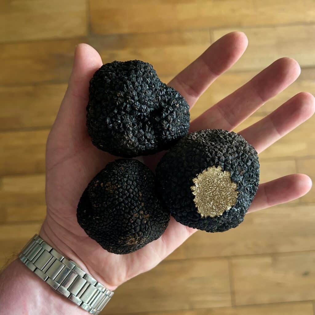 Fresh Black Summer Truffles