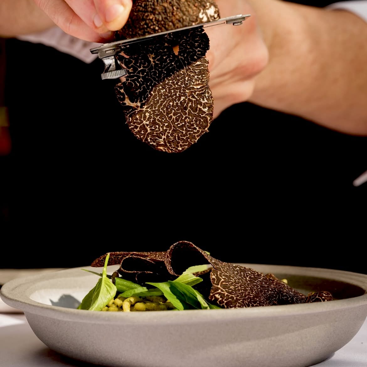 fresh Black Winter Truffles perigord
