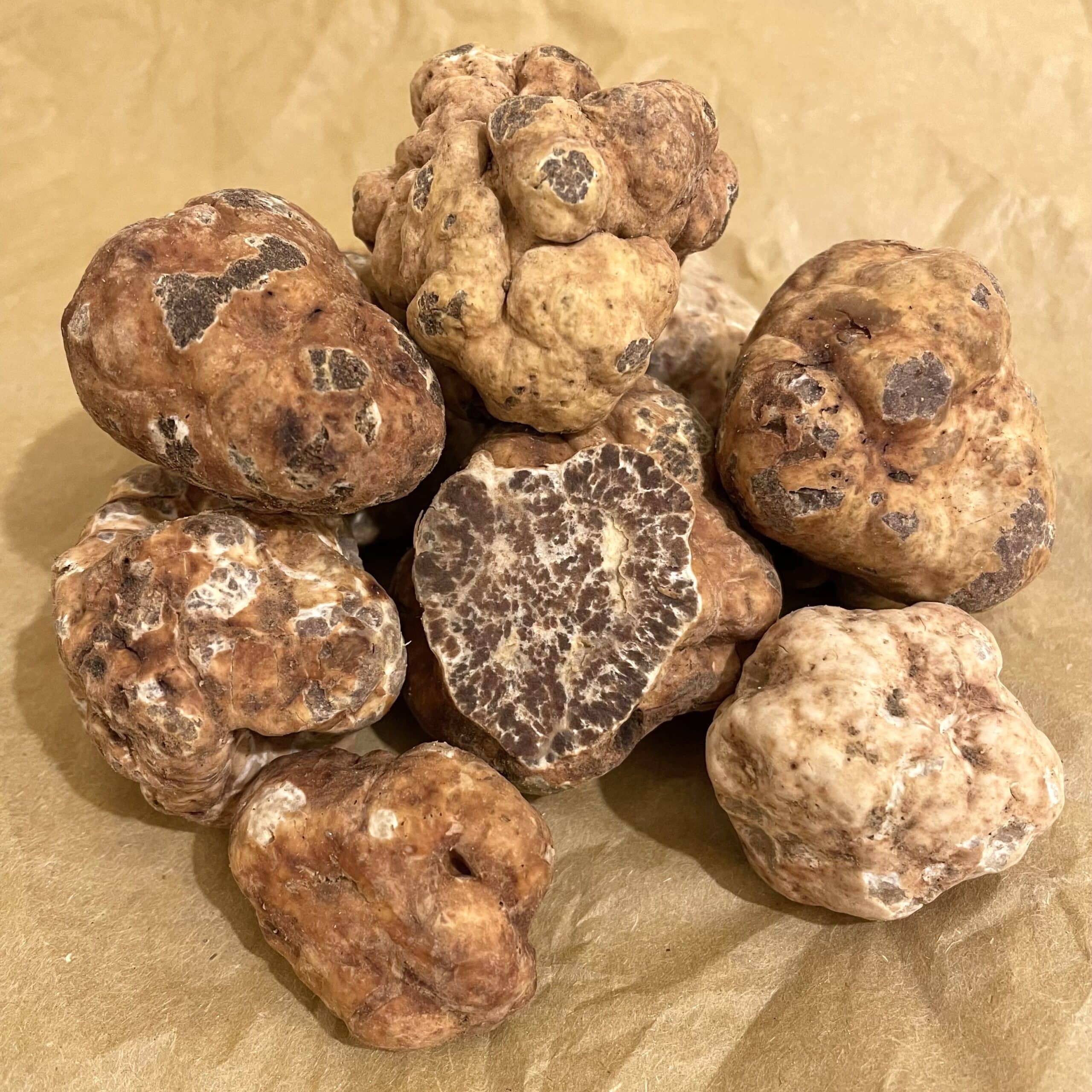 Buy Fresh White Spring Truffles