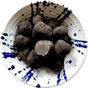 Buy Black Winter Truffles UK Melanosporum