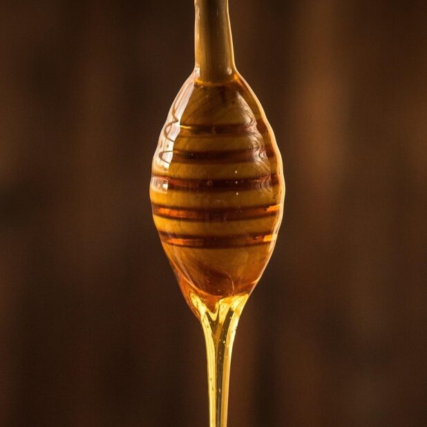 truffle honey