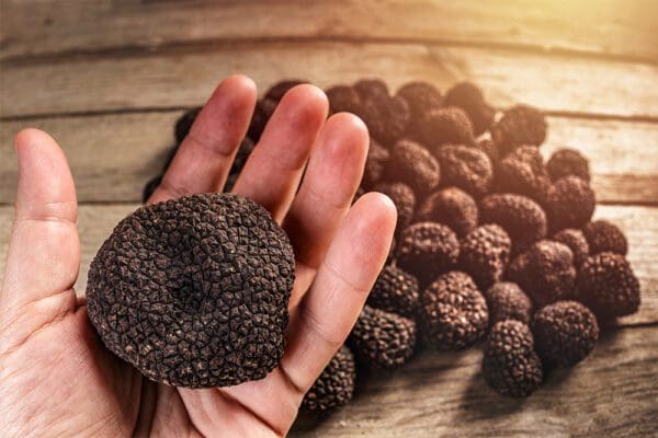 Black SUmmer truffles