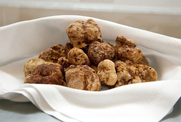 Wholesale Truffles