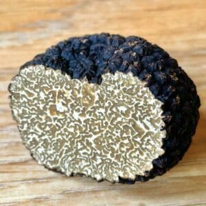 Fresh Italian Black Autumn Truffles