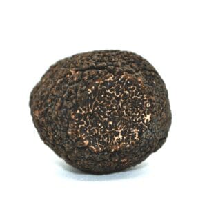 buy Black Winter Truffle