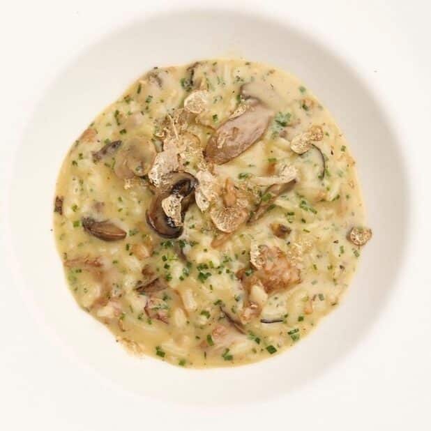 white truffle sauce risotto
