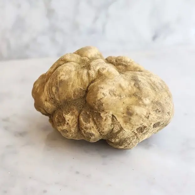 White Truffle