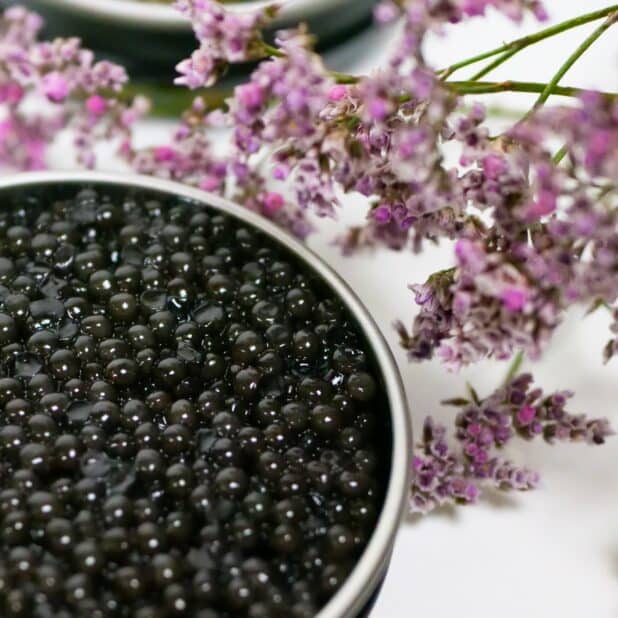 Royal Baerii Caviar - Image 2