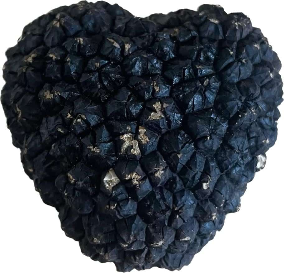 Buy truffles UK buy fresh truffles