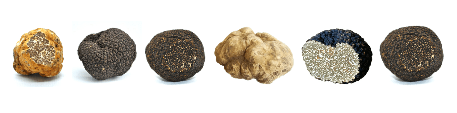 truffles UK