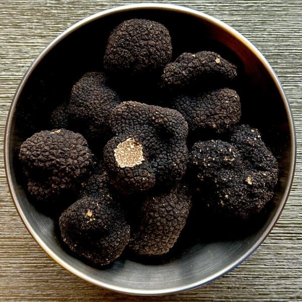 English Black Autumn Truffles