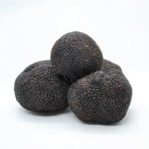 black truffles buy truffles truffle shop