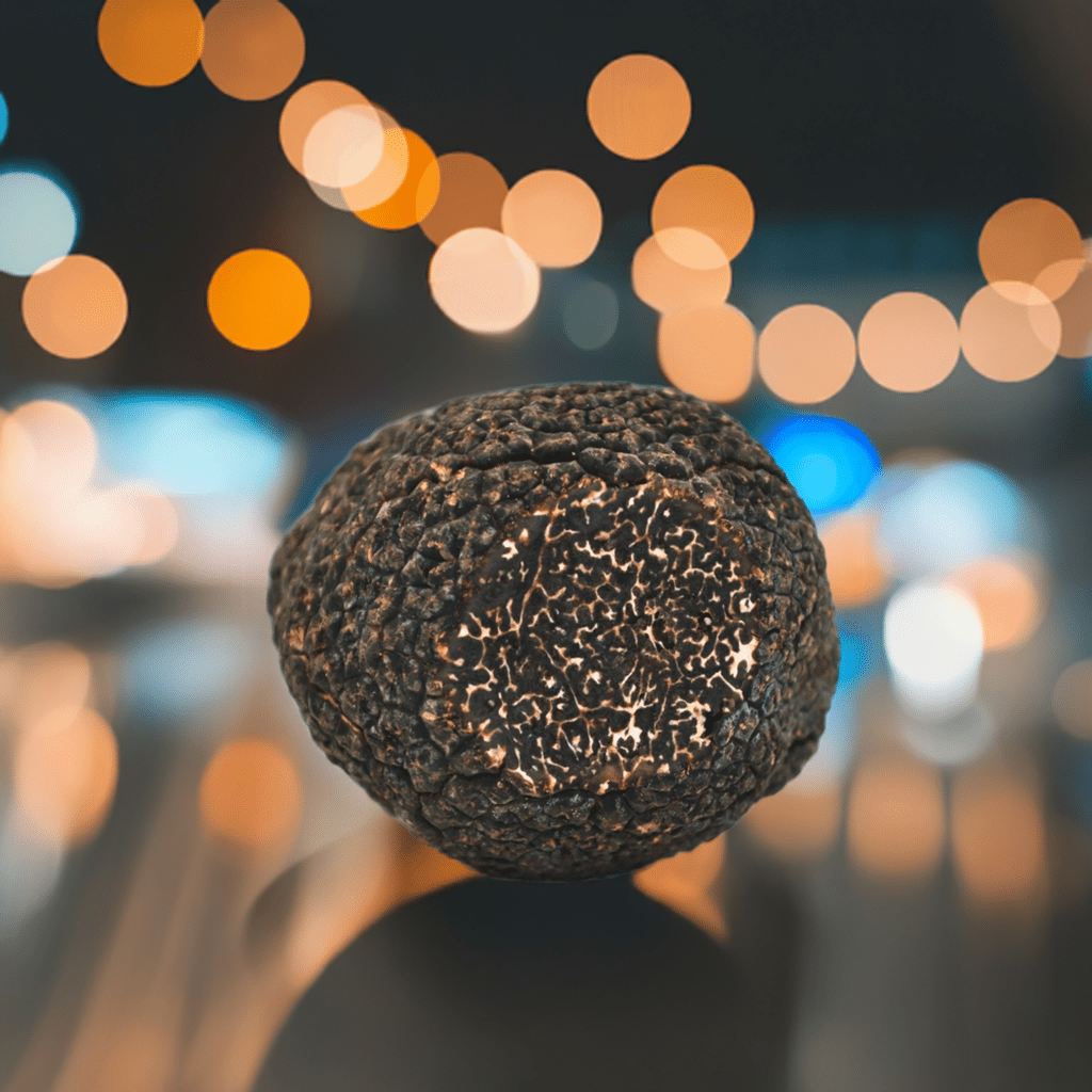 Black Winter Truffles