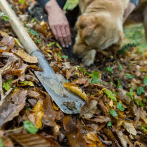 UK Truffle supplier