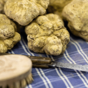 Alba Truffles