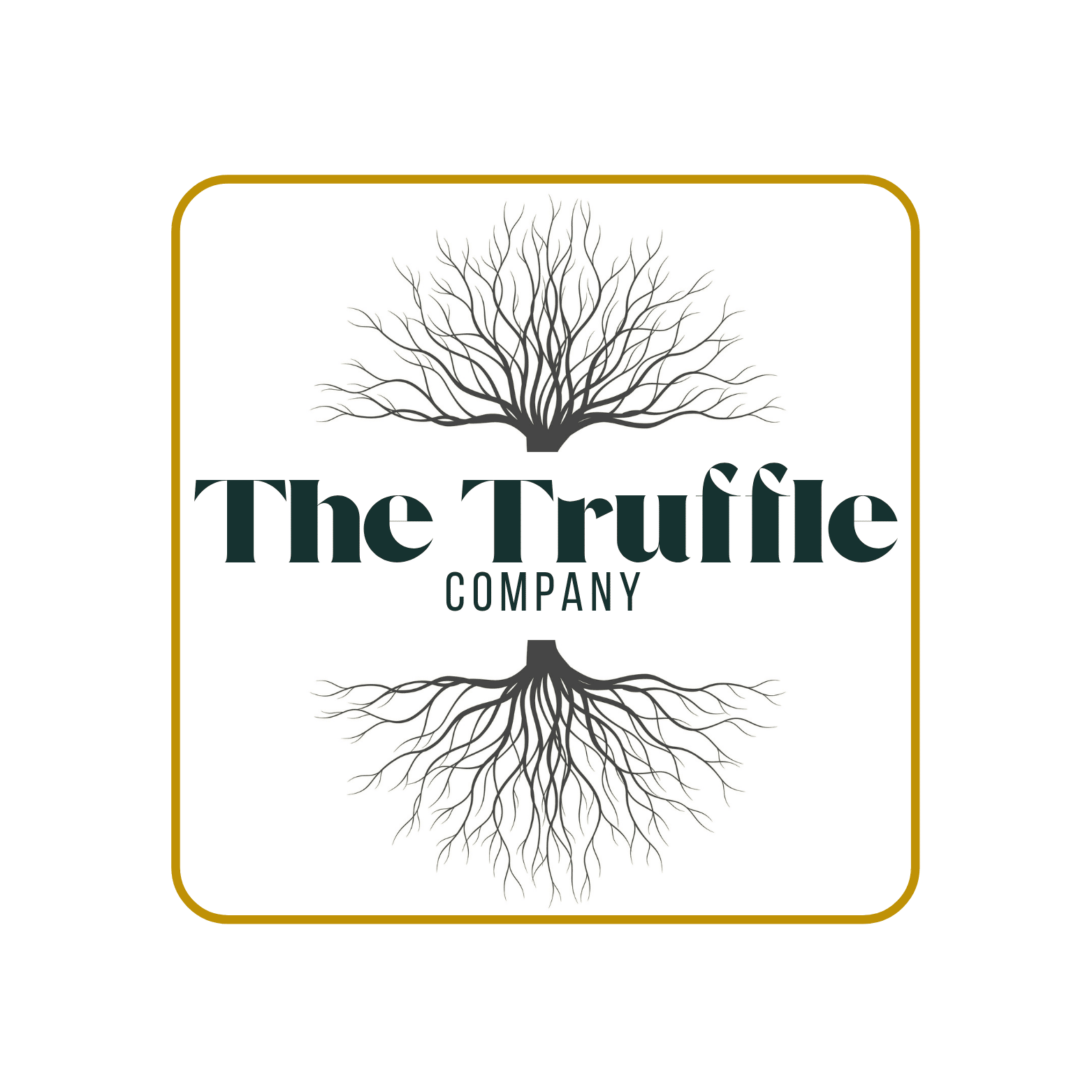 The Truffle company