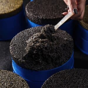 Buy Caviar UK