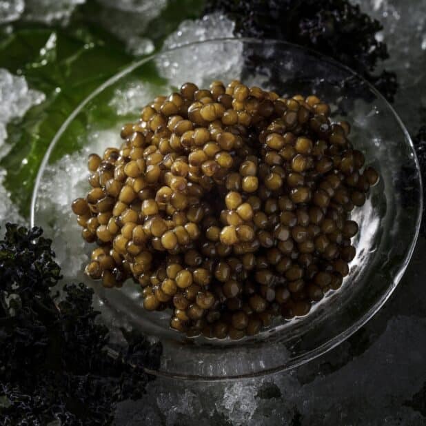 Buy Kaluga Caviar UK