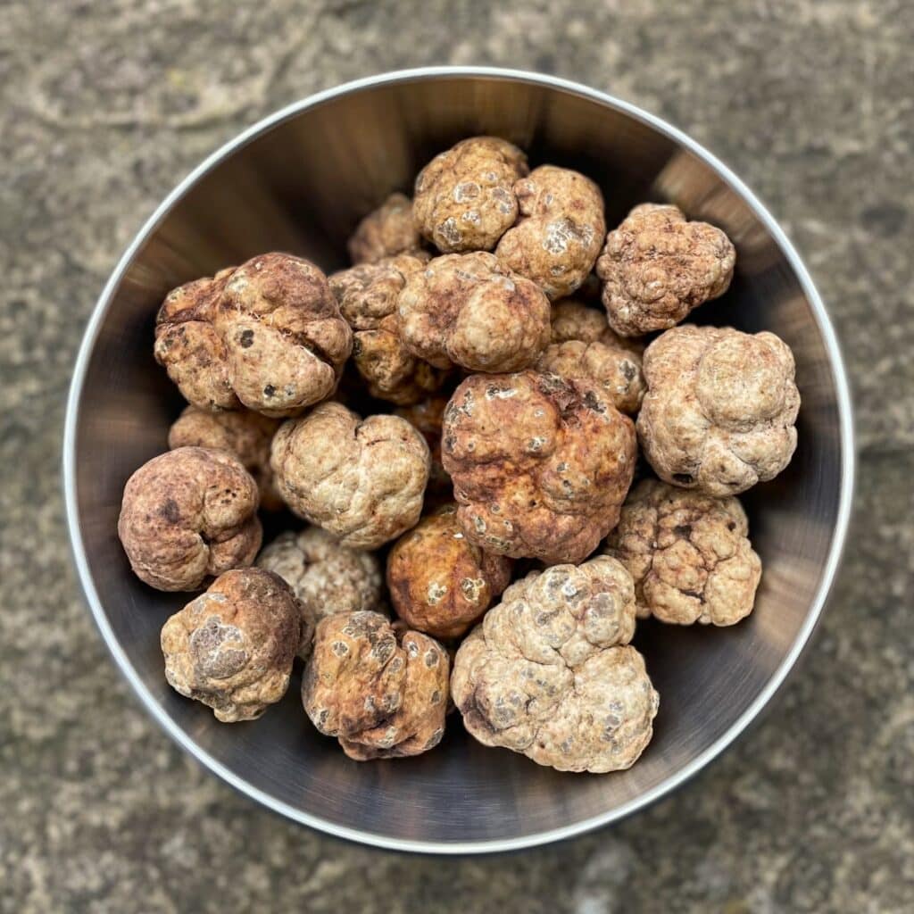 Fresh White Spring Truffles UK