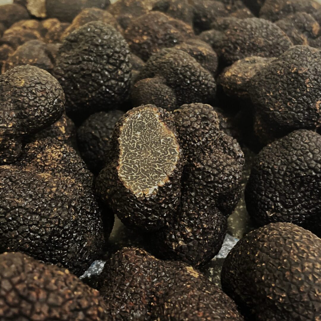 Black truffles fresh