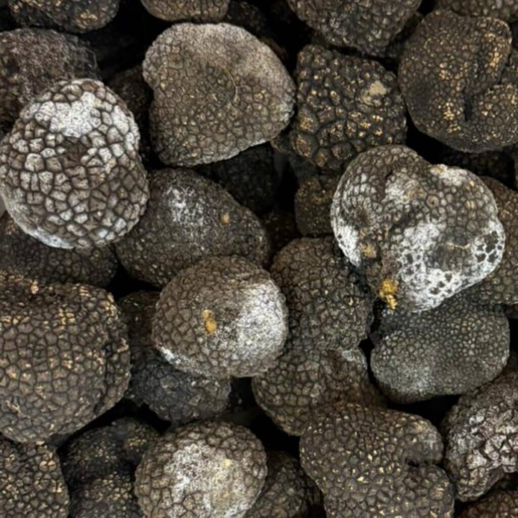 Moldy Truffle